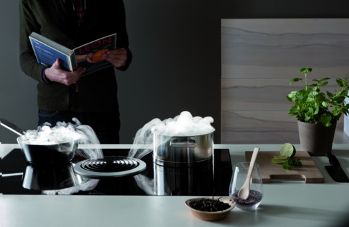 Foto von zwei Kochtöpfen auf einem Kochfeld BORA Basic