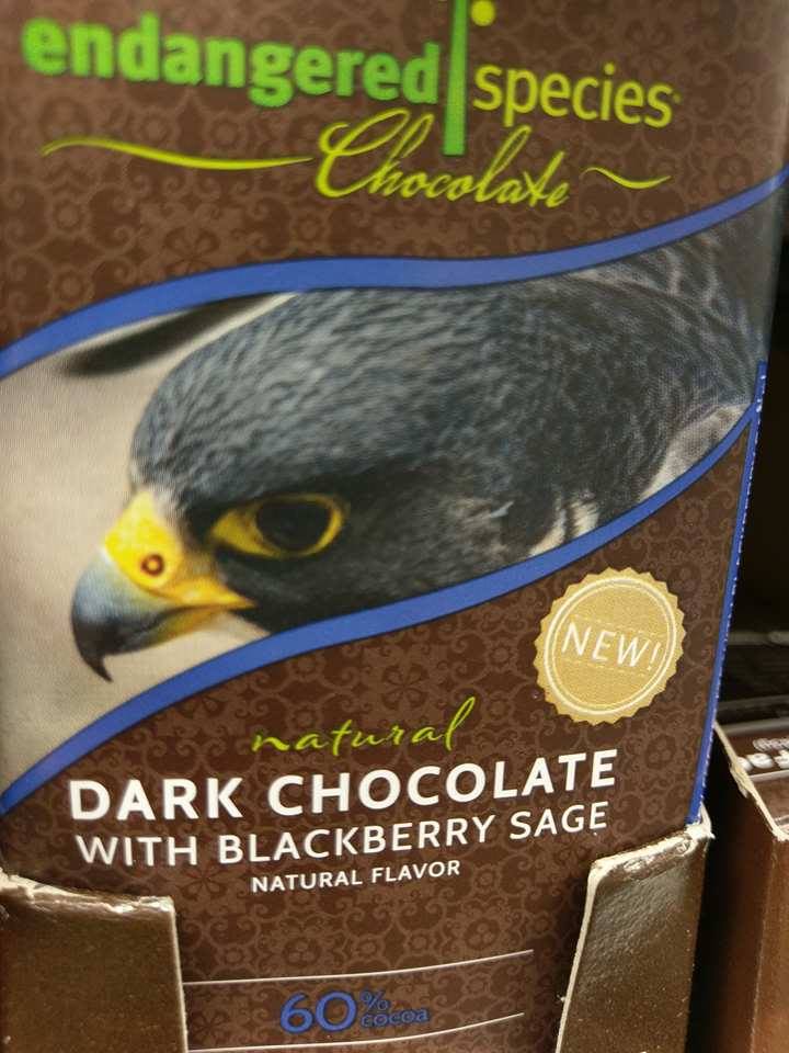 Ethikschokolade Falke Endangered Species Schokolade: Ethisches Branding