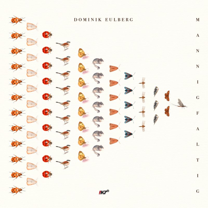 Dominik Eulberg Mannigfaltig CD-Cover